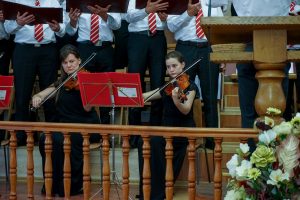 Musiker. Die Bratschen.