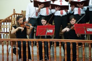 Die Streicher. Musiker.