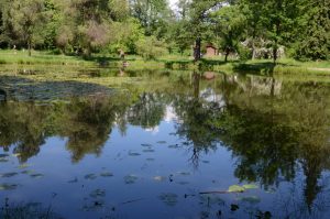 Schöne Anlage auf dem Gelände des Sanatoriums.